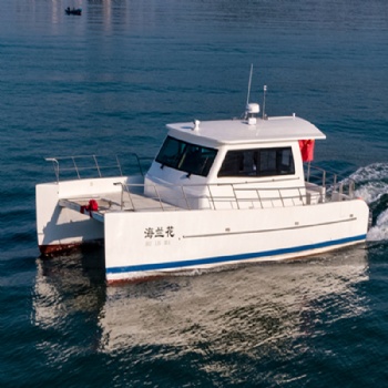 39ft Catamaran Leisure Yacht